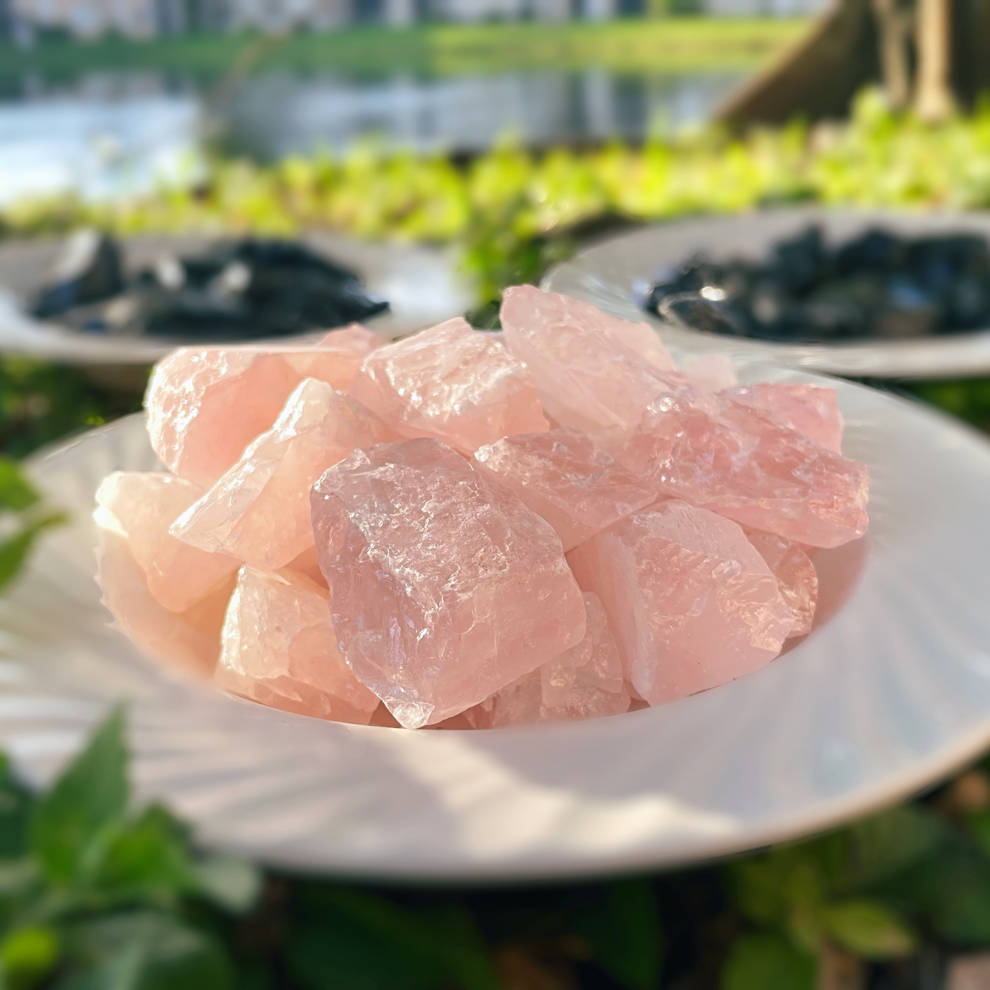 Rose Quartz Raw Pieces